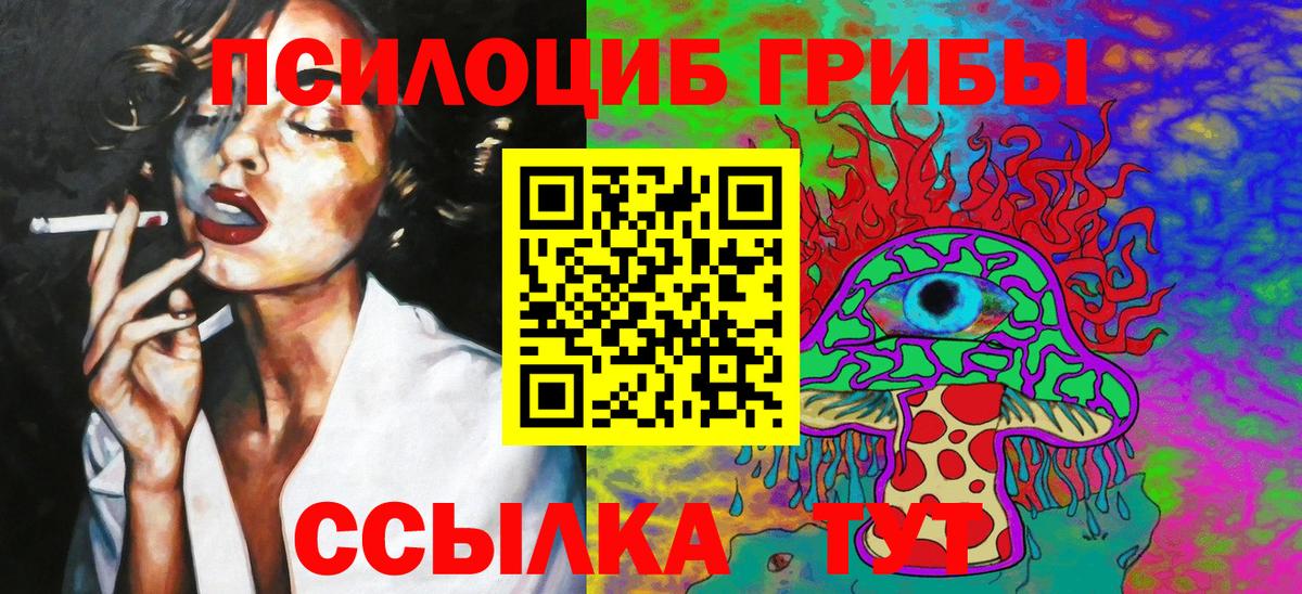 Ростов-на-Дону  как найти наркотики  Псилоцибиновые грибы GOLDEN TEACHER  Вход с VPN  Псилоцибиновые грибы Psilocybe 